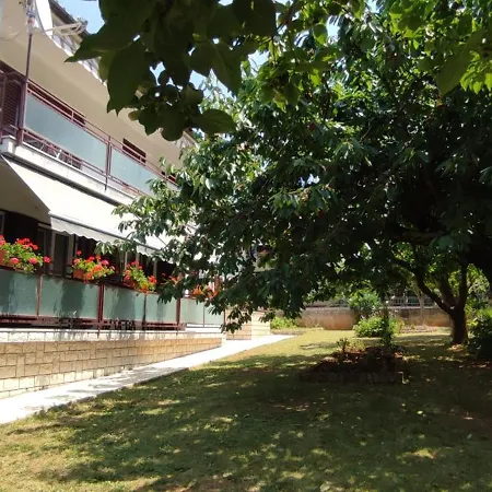 Vlada Beach Area *